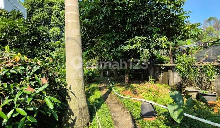 Dijual Cepat Kavling dan Rumah di Sentul Bogor
