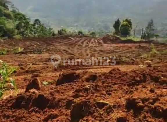 Dijual Tanah Siap Bangun Di Sentul Bojong Koneng Bogor