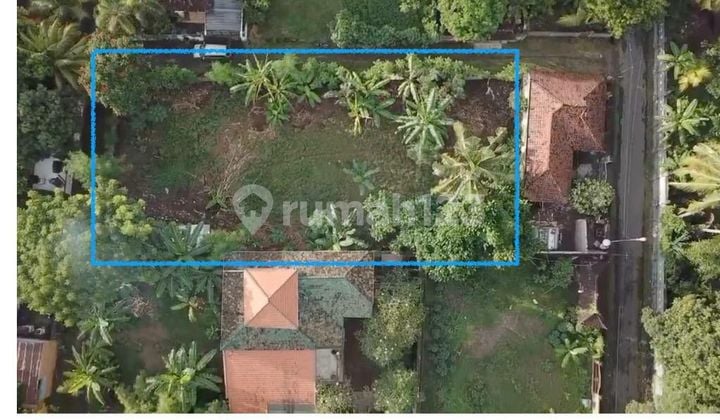 Land Buleleng Bali Singaraja Gilimanuk near Lovina Beach