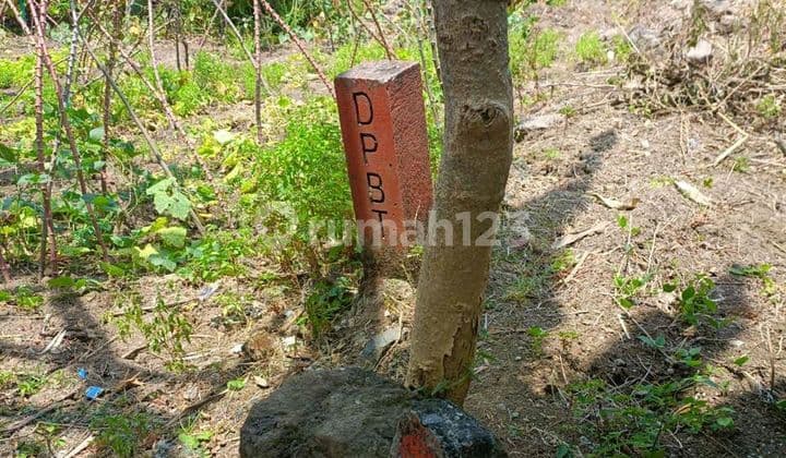 Tanah Citraland Niaga Gapura Dekat Pakuwon, Wiyung