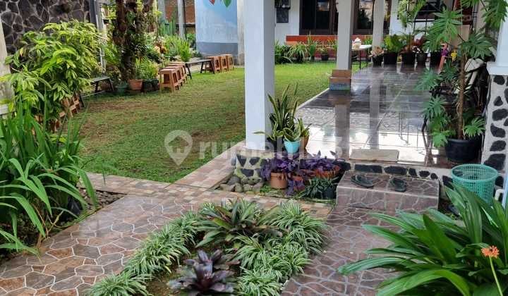 Rumah Kebun Luas Nyaman Asri Cocok Untuk Cafe, Wedding Venue, Villa, Di Semplak, Bogor