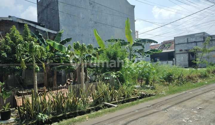 Dijual Kavlingan Griya Sumput Asri Driyorejo Gresik