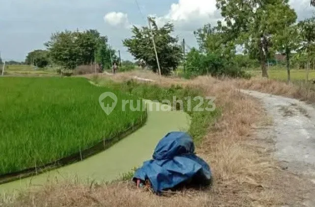 For Sale Land in Klampisan Hamlet, Duduk, Gresik For Sale Land in Klampisan Hamlet, Duduk, Gresik