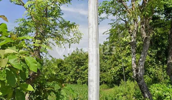 Dijual Lahan Desa Sukolilo Timur Bangkalan Madura