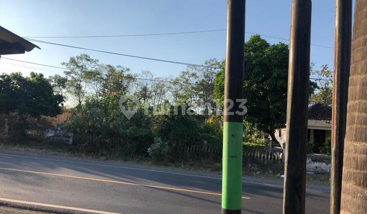 Disewakan Lahan Ry Situbondo Banyuwangi