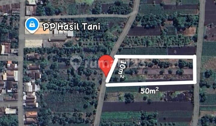 Dijual Lahan Ds Pekaren Kec Tembong Pasuruan Jatim