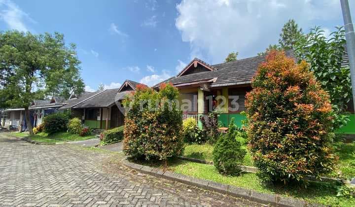 Villa Siap Huni tipe Jepang di Kota Bunga Cipanas Puncak