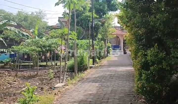 Land for Sale Flood-Free Freehold Private Ownership in Dk Tunggu Meteseh Tembalang East Semarang