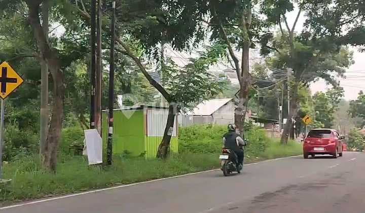 Tanah Dijual Murah SHM Hak Milik di Jl Raya Elang Kel Mangunharjo Tembalang Semarang Timur