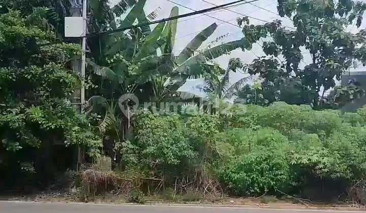 Tanah Dijual SHM Hak Milik Jl Raya Mulawarman Dekat Kampus Undip Tembalang Semarang Timur