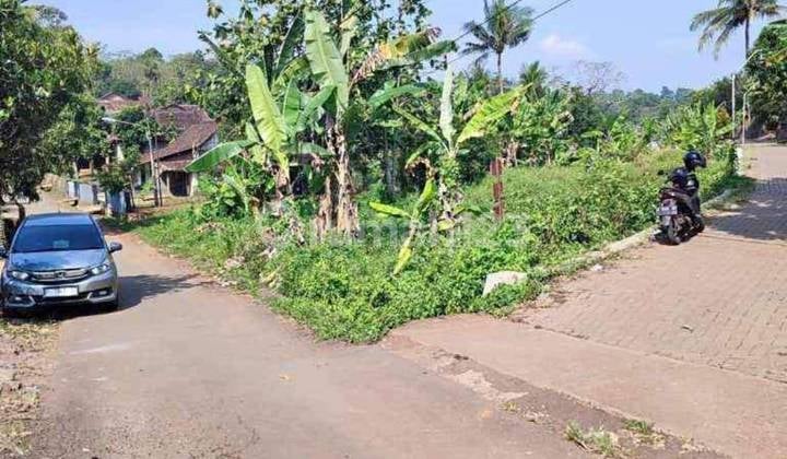 Tanah Murah Dijual Hak Milik SHM Pojok di Wonoplumbon Kec Mijen Semarang Barat