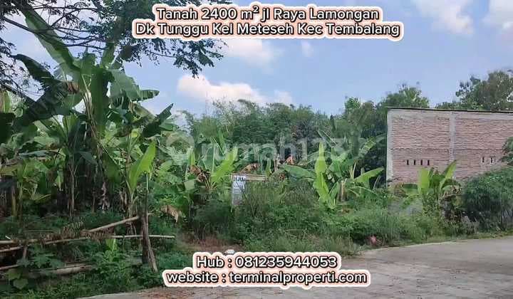 Tanah Dijual Bebas Banjir SHM Hak Milik di Jl Raya Lamongan Dk Tunggu Meteseh Kec Tembalang