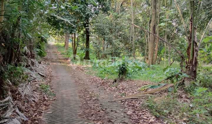 Tanah Kebun Durian Dijual SHM Hak Milik di Dkt Lap Bola Siroto Kel Gunungpati Semarang Selatan