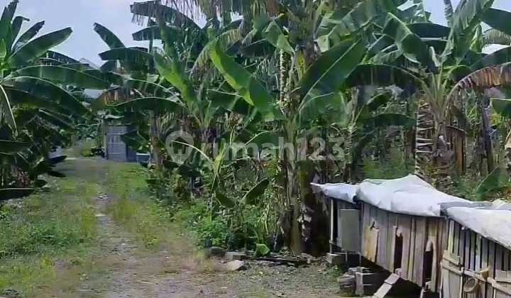 Tanah Dijual SHM Hak Milik di Perum Ganesha Pedurungan Tengah Semarang Timur