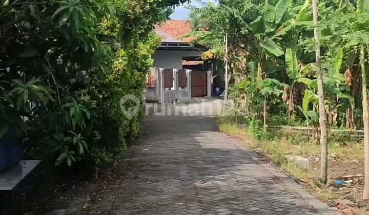 Tanah Dijual Bebas Banjir SHM Hak Milik Pribadi di Dk Tunggu Meteseh Tembalang Semarang Timur