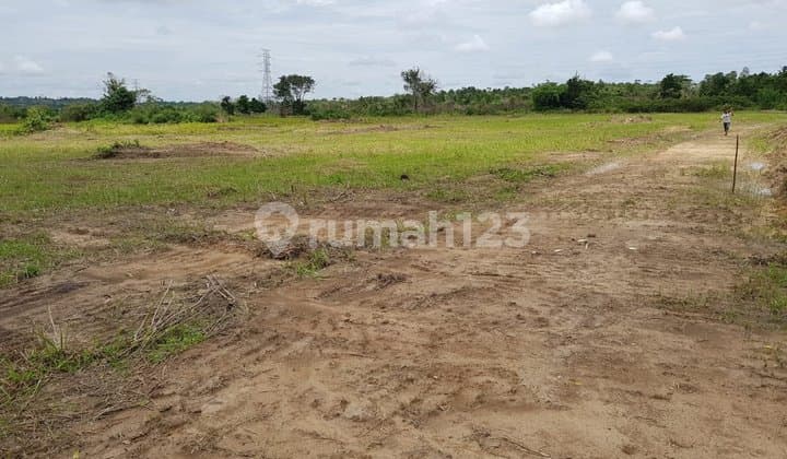 Di Jual Tanah Rata Lokasi Strategis di Baruga, Nanga Nanga