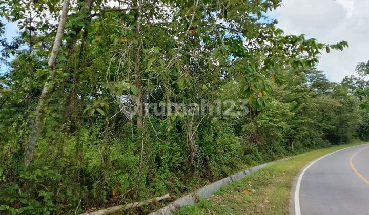 Tanah Kebun di Jual Murah Torobulu,Sulawesi Tenggara