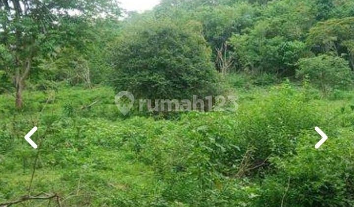 Di Jual Tanah Lokasi Strategis di Abeli,Kendari