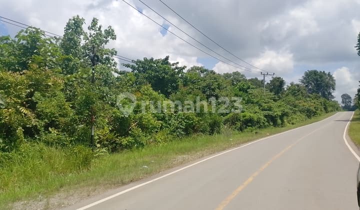 Di Jual Tanah Strategis di Desa Lakara