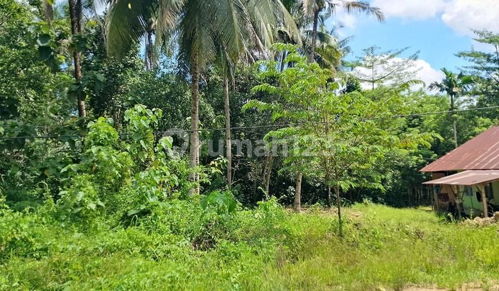 Di Jual Tanah Strategis di Abeli Kendari Sulawesi Tenggara