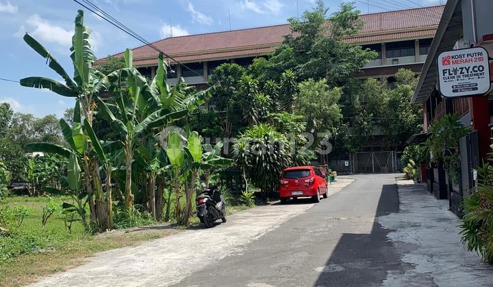Dekat Kampus Sanata Dharma Paingan Dijual Tanah Pekarangan Bagus