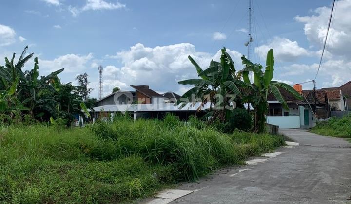 Tanah Dijual Murah di Jalan Cindelaras Timur Stadion Maguwoharjo