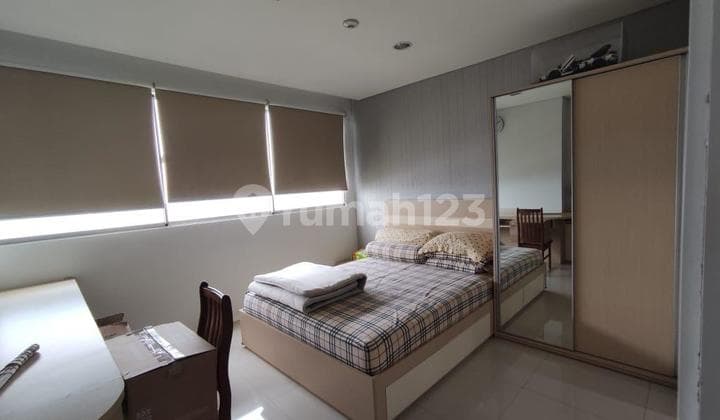 Sewa Cepat Appartemen Paddington Heights Alam Sutera 1 Bedroom Alam Sutera Dekat Binus