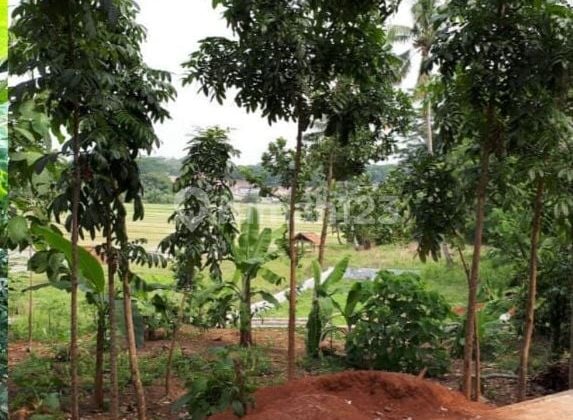 Tanah cibungur purwakarta di Cibungur Tanah