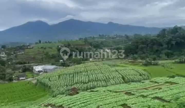 Dijual Tanah Dgn View Pegunungansangat Indah di Cikalong- Pangalengan Banjaran