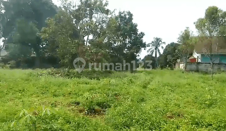 Di Jual Tanah Kebun Subur Shmdi Parungkuda Sukabumi
