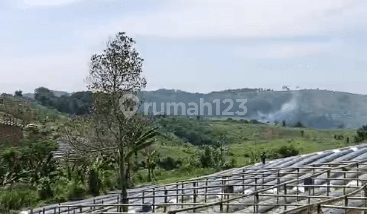 Di Jual Lahan Perkebunan/Pertanian Superakses Mobil di Cipanas Cianjur