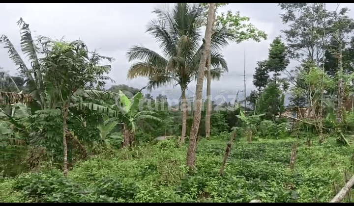 Di Jual Tanah Kebun Akses Mobil View Gunung di Cicurug Sukabumi