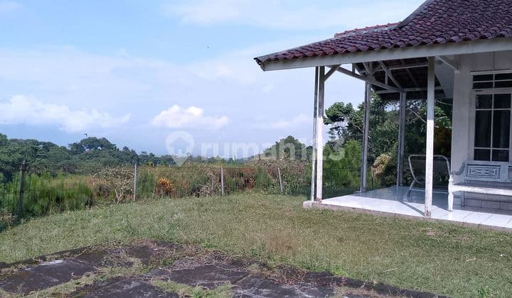 Di Jual Lahan View Lepas Murah di Megamendung