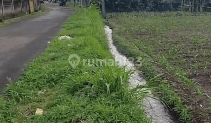 Di Jual Lahan Kebun SHM Datar View Gunung di Cijeruk Bogor