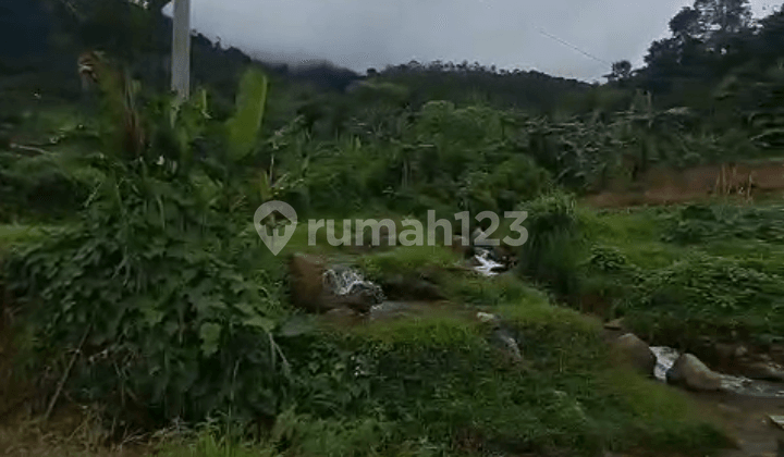 For Sale Land with Abundant Water and Car Access on Jl Puncak 2 Sukamakmur Bogor