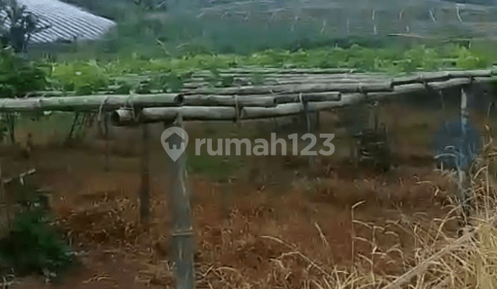 Di Jual Tanah Untuk Pertanian/peternakan Di Takokak Cianjur