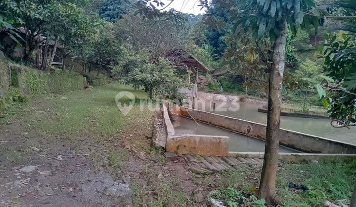 Di Jual Lahan Berikut Sawah dan Kolam di Leuwiliang Bogor Barat