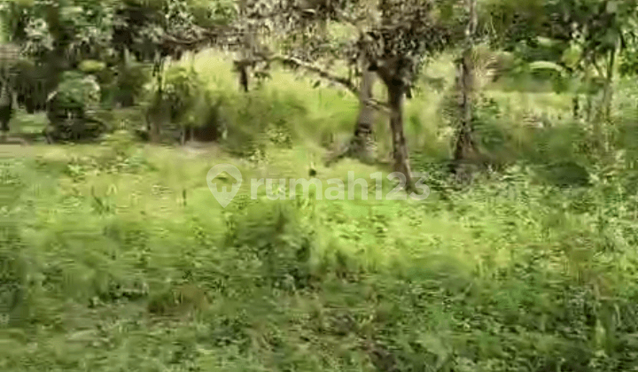 Di Jual Lahan Murah SHM di Warungkiara Sukabumi