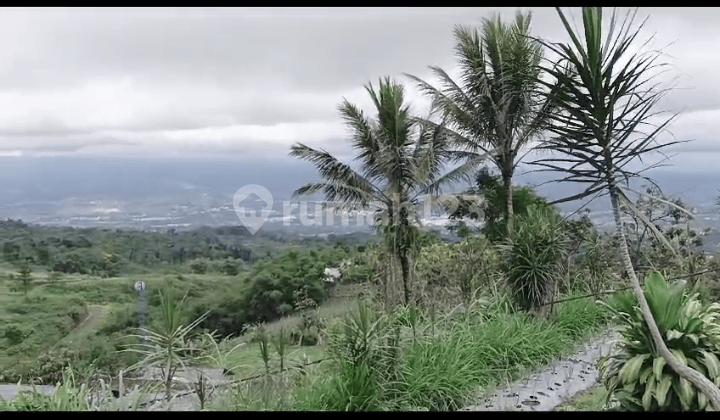 Di Jual Tanah Kebun Subur Tanah Milik di Cicurug Sukabumi