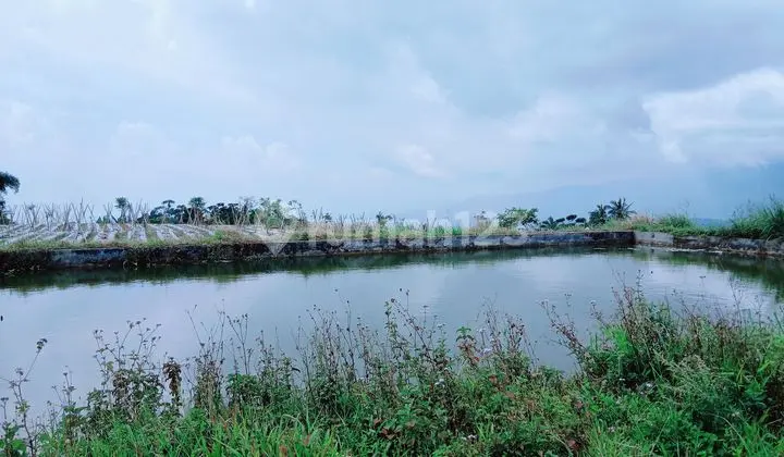 Di Jual Tanah Kebun Sayuran dengan View Keren di Kalapanunggal Sukabumi