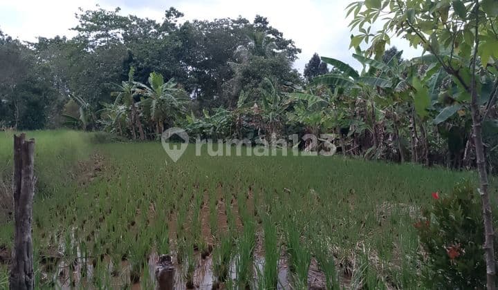 Di Jual Tanah Kebun dan Sawah SHM Berikut Villa di Caringin Bogor