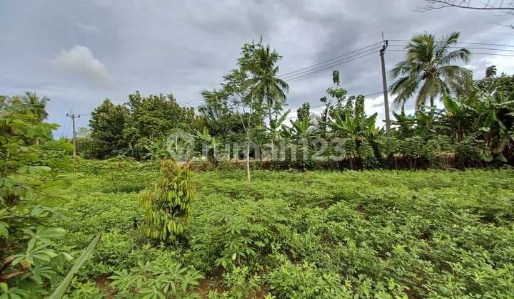 Di Jual Tanah Kebun SHM Murah di Cigudeg Bogor Barat