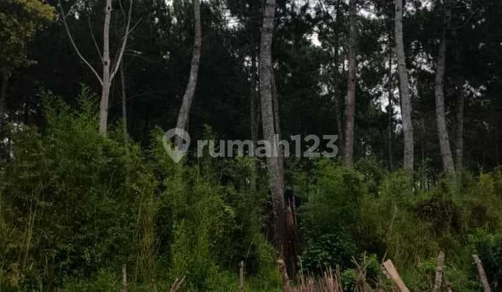 Jual Tanah Murah View Keren Gunung di Lembang Bandung