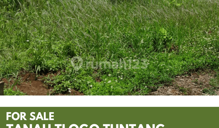 Dijual Tanah Luas SHM Tlogo Tuntang Salatiga