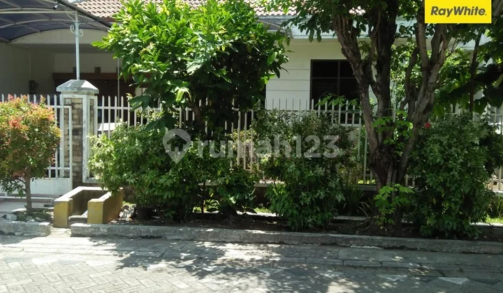 Dijual Rumah SHM di Mojoarum Gubeng Surabaya Dijual Rumah SHM di Mojoarum Gubeng Surabaya