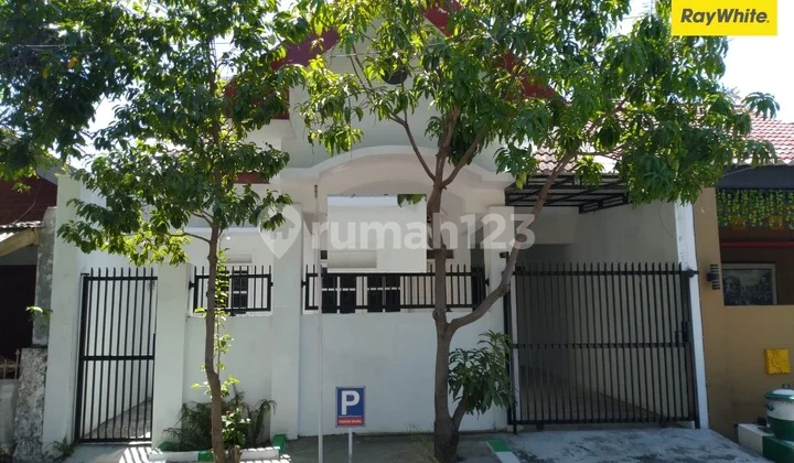 Dijual Rumah 1,5 Lantai SHM di Wiguna Timur Surabaya Dijual Rumah 1,5 Lantai SHM di Wiguna Timur Surabaya