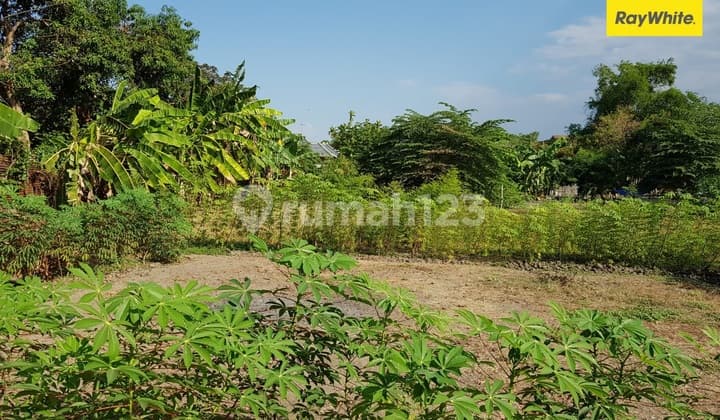 Dijual Tanah SHM Strategis di Jabon Sidoarjo