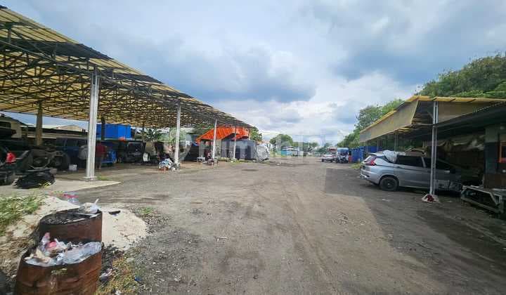 Jual Kapling Siap.pakai.di Marunda Baru