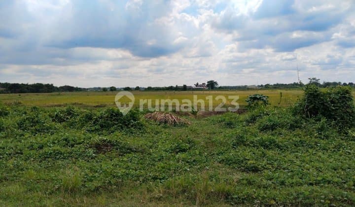 Tanah Zona Komersial Lokasi Pinggir Jalan Di Cibarusah Cikarang, Jawa Barat