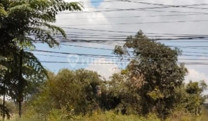 Tanah Padat Lokasi Strategis Pinggir Jalan Raya Di Cibarusa Cikarang, Jawa Barat